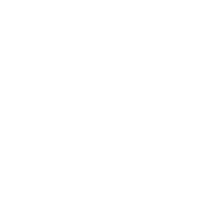 Digismundo | Sitform logo